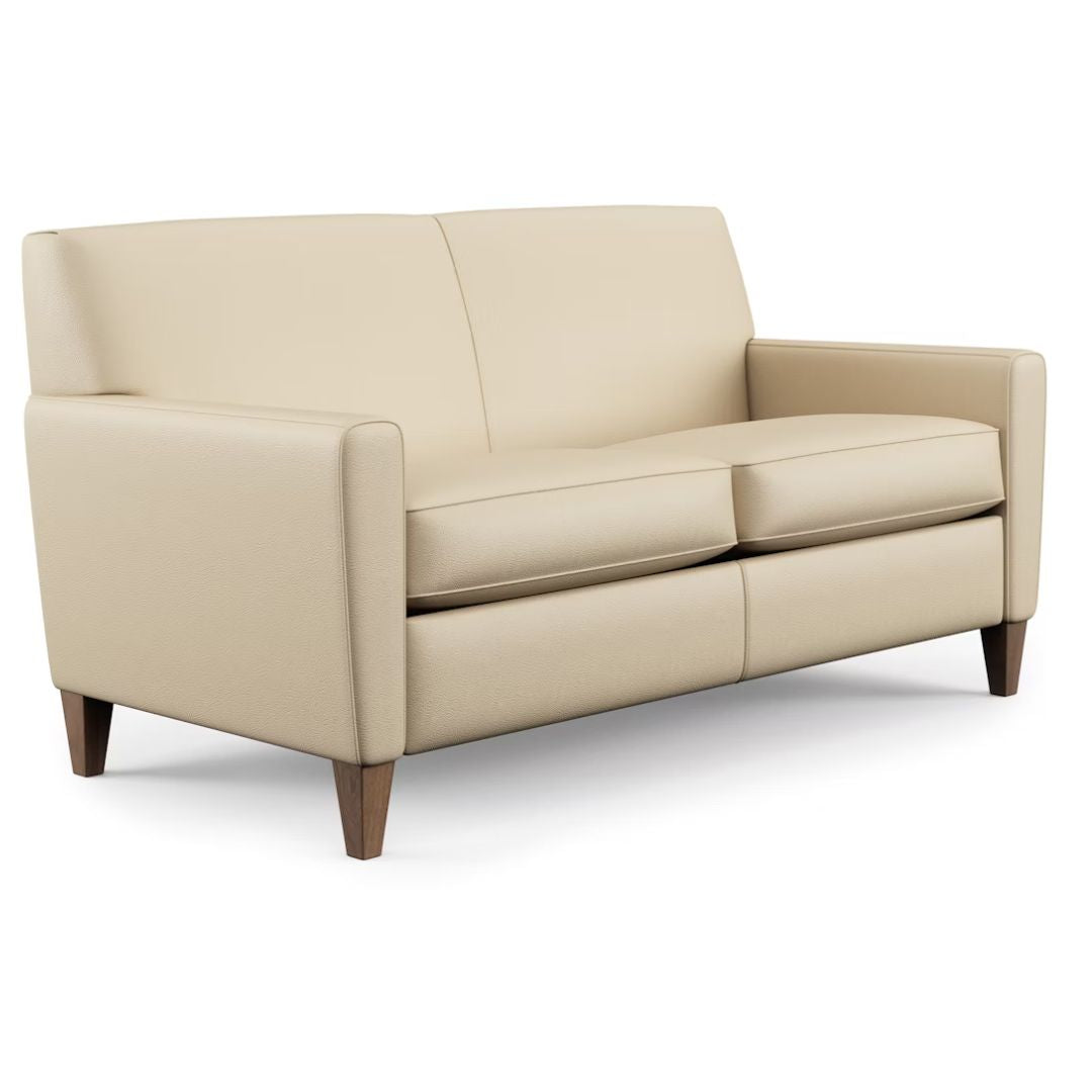 Digby Two Cushion Leather Sofa
