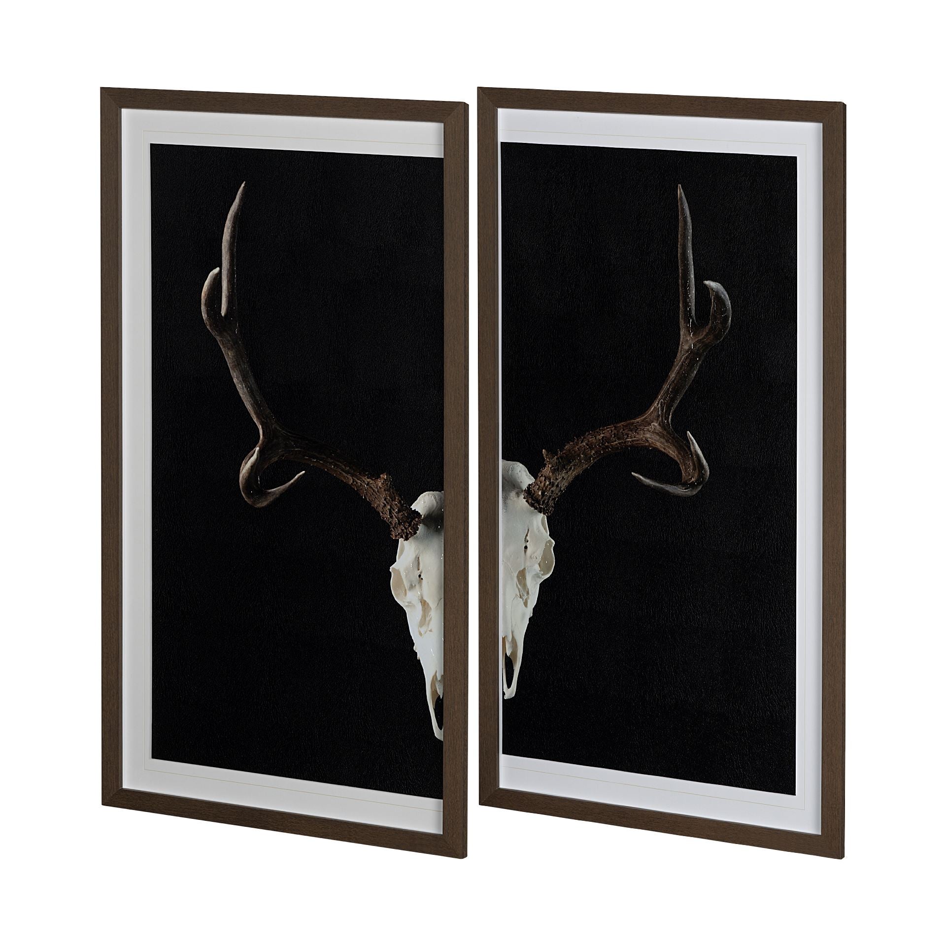 Deer Skull Set of Two