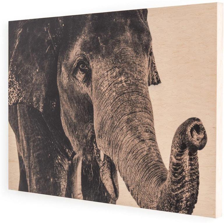 Elephant Wall Art - The Tin Roof Furniture